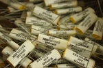(5) Vintage Sprague 431P 3.0 10% 50DC Capacitor Nos Open. Price: $42.50.
