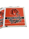 Cincinnati Bengals Nfl Football Bench Seat Stadium Cushion Logo Lot 2 Vintage Used. Price: $25.00.